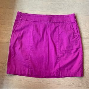 Ann Taylor Magenta Skirt